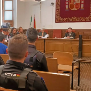 etapas de un proceso penal juicio rápido en Granada